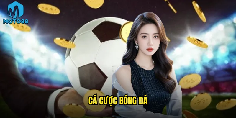 cá cược bóng đá
