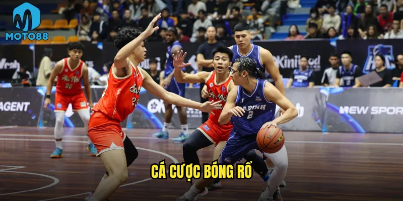 cá cược bóng rổ